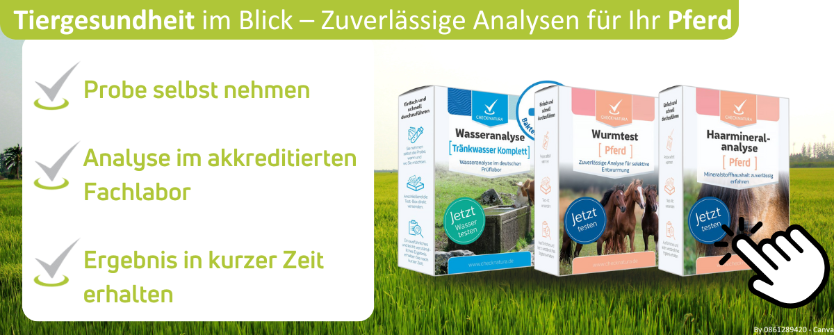 Banner mit drei Tieranalysen für Pferde: Tränkwasseranalyse, Wurmtest und Haarmineralanalyse.