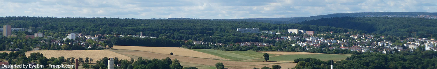 Panoramablick über Pforzheim