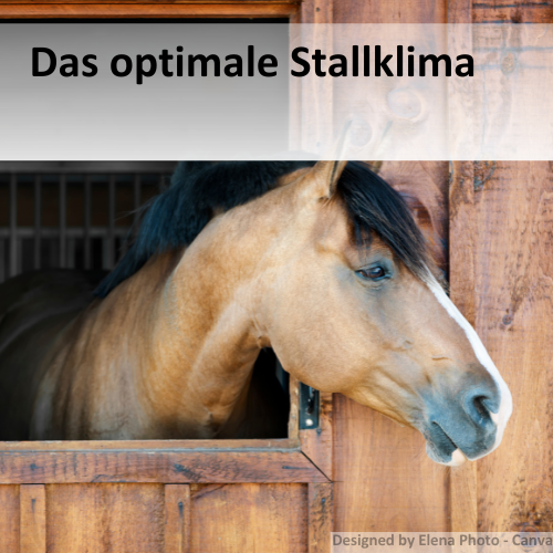 Das optimale Stallklima