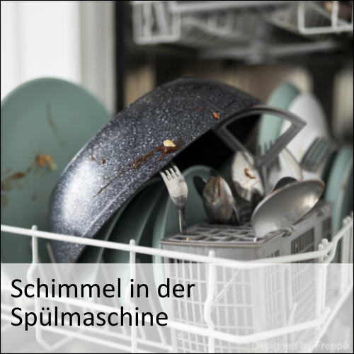 Schimmel in der Spülmaschine