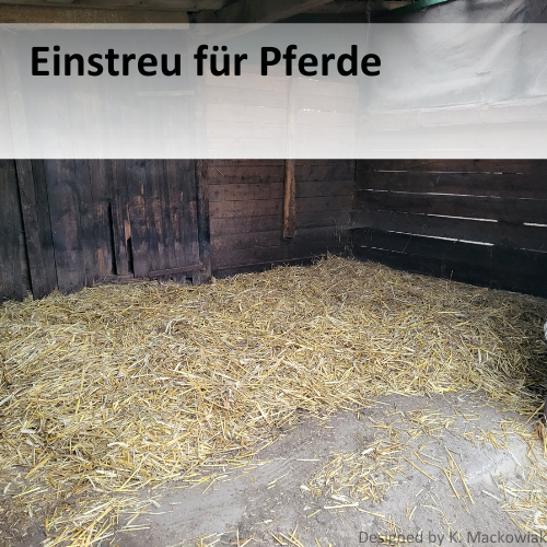 Einstreu für Pferde: Stroh, Späne und andere Möglichkeiten