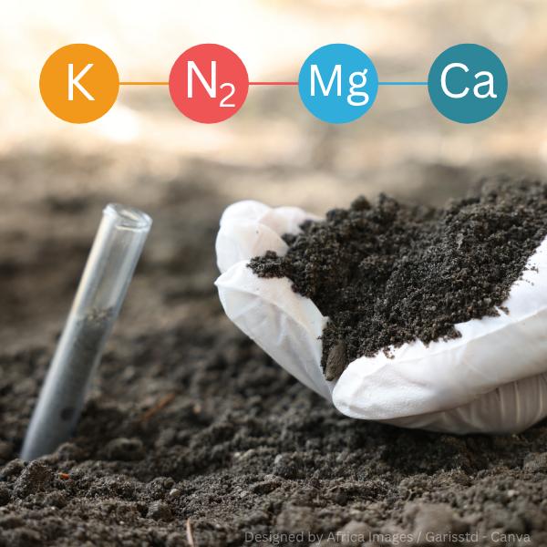 Hand mit weißem Handschuh hält dunkle Erde, daneben Glasröhrchen im Boden, darüber farbige Kreise mit den chemischen Symbolen 'K', 'N₂', 'Mg', 'Ca'.