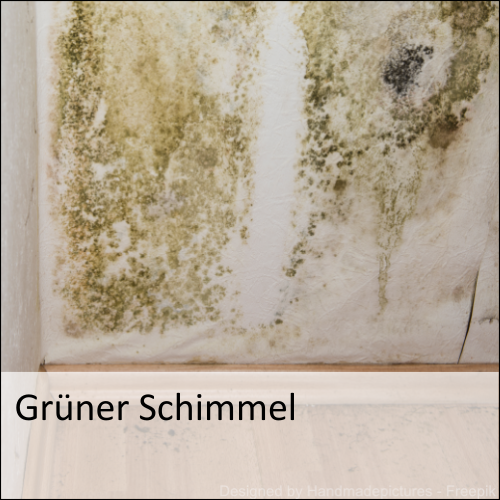 Grüner Schimmel