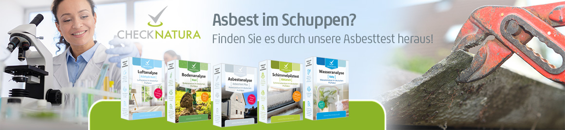 Zu den Asbest-Tests