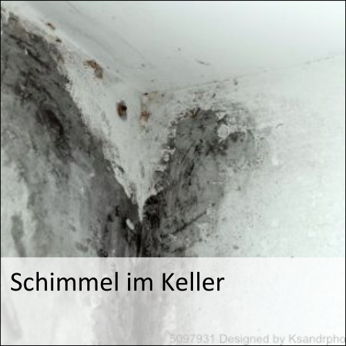 Schimmel im Keller