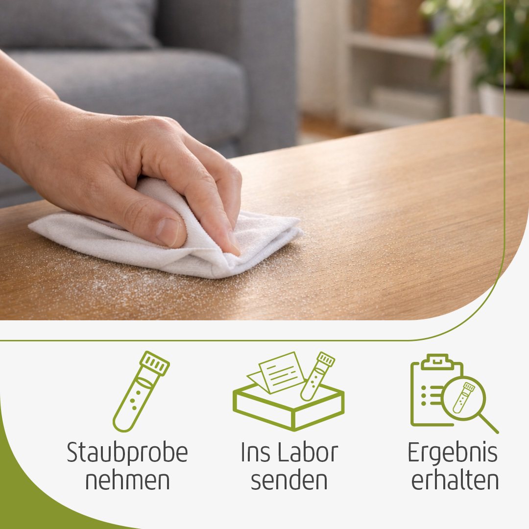 Staubprobe nehmen, ins Labor senden und Ergebnis erhalten. 