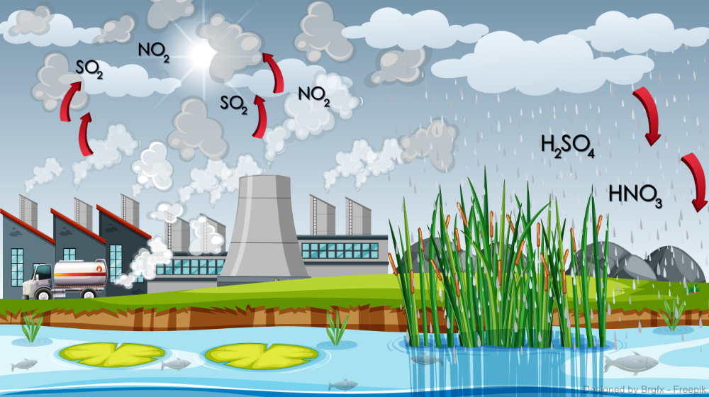 Schwefeldioxid und Stickoxide werden in der Atmosphäre zu Schwefel- und Salpetersäuren und regnen als saurer Regen herab