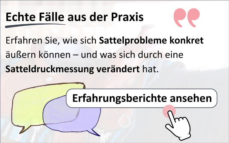 Erfahrungsberichte ansehen.