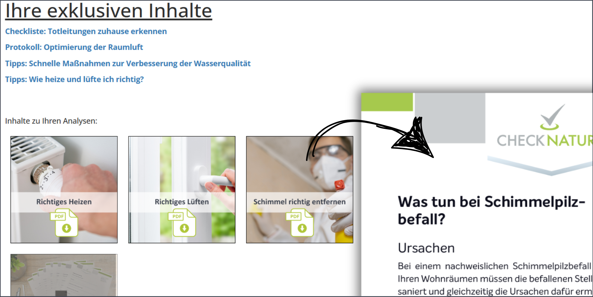 Ein Bild der exklusiven inhalte, die jedem Kunden kostenlos zur Verfügung stehen.