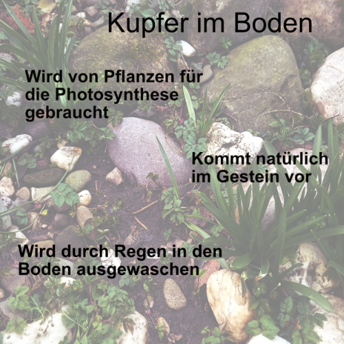 Kupfer kommt natürlich im Gestein vor und wird von Pflanzen zur Photosynthese gebraucht.