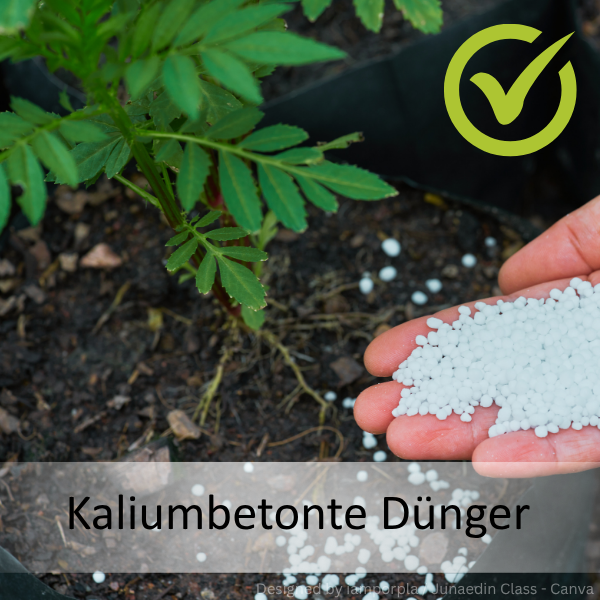 Hand hält weiße Düngerkügelchen über Erde neben grünem Pflanzenstängel, grünes Häkchensymbol oben rechts, Text 'Kaliumbetonte Dünger' am unteren Bildrand.
