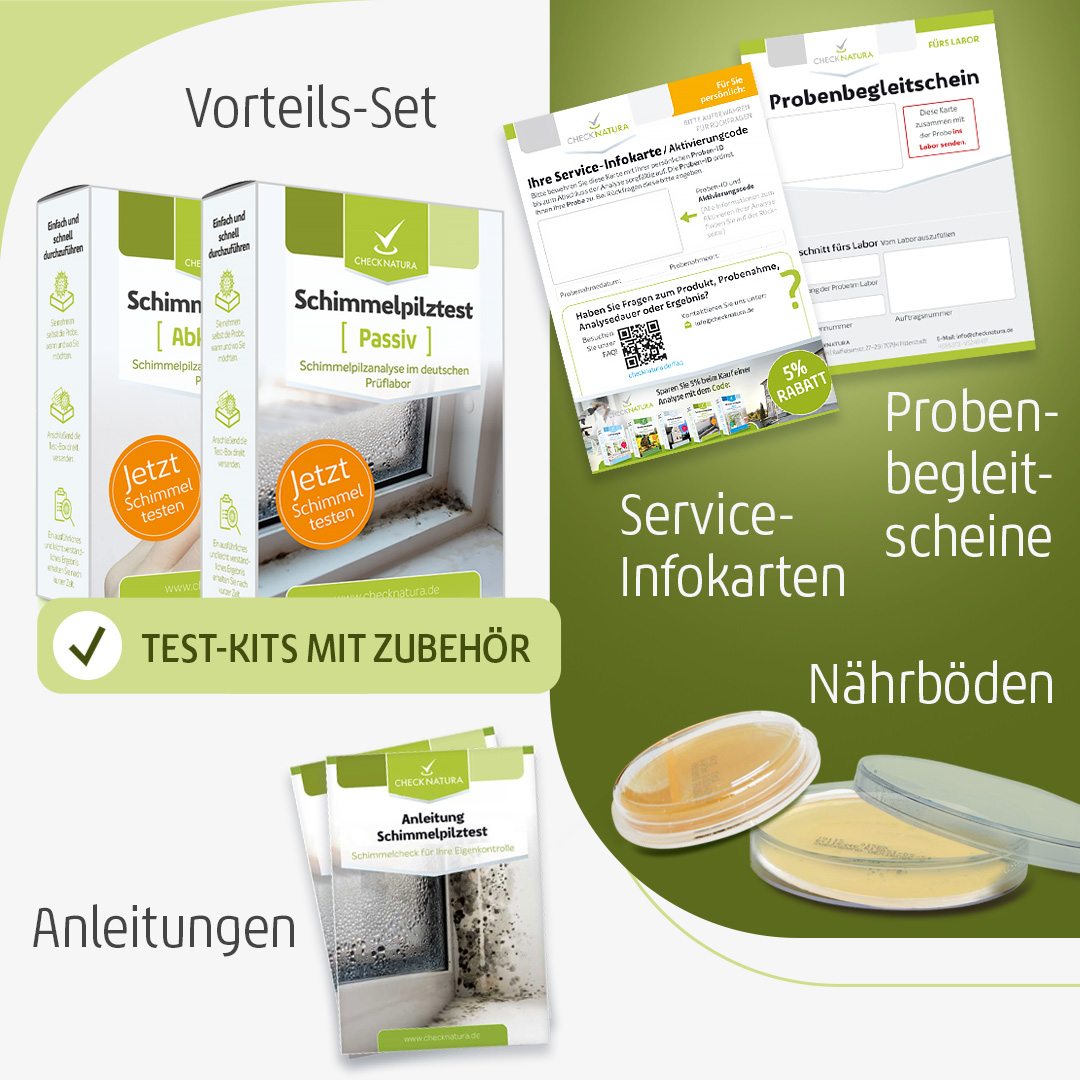 Schimmel-Vorteils-Set Inhalt des Test-Kits