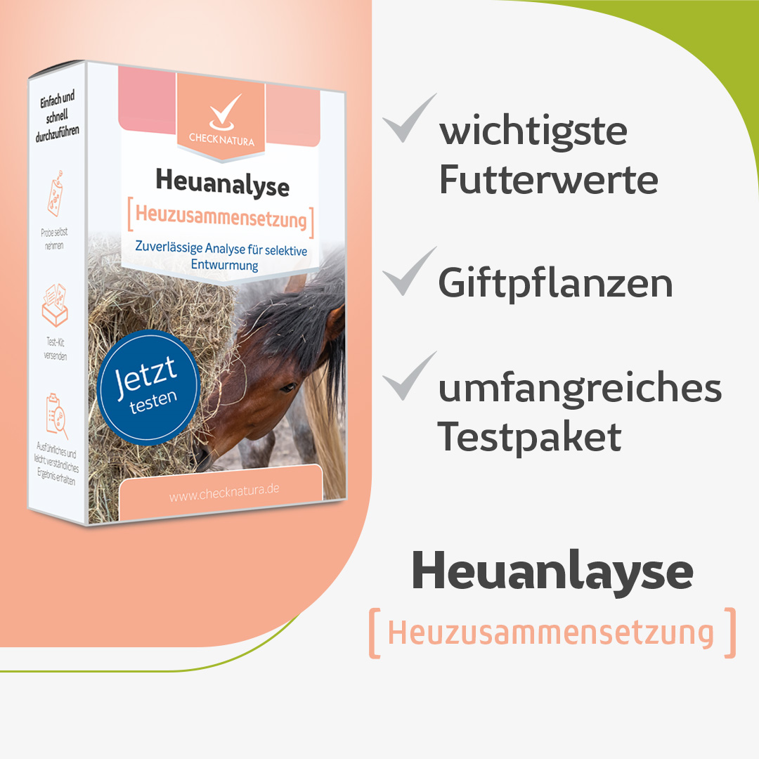 Heuanalyse-Testkit zur Heuzusammensetzung mit Produktverpackung, Pferdemotiv und Hinweisen auf wichtigste Futterwerte, Giftpflanzen und umfangreiches Testpaket.