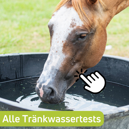 Alle Tränkwasser-Tests anschauen