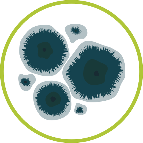 Abklatschtest-Icon