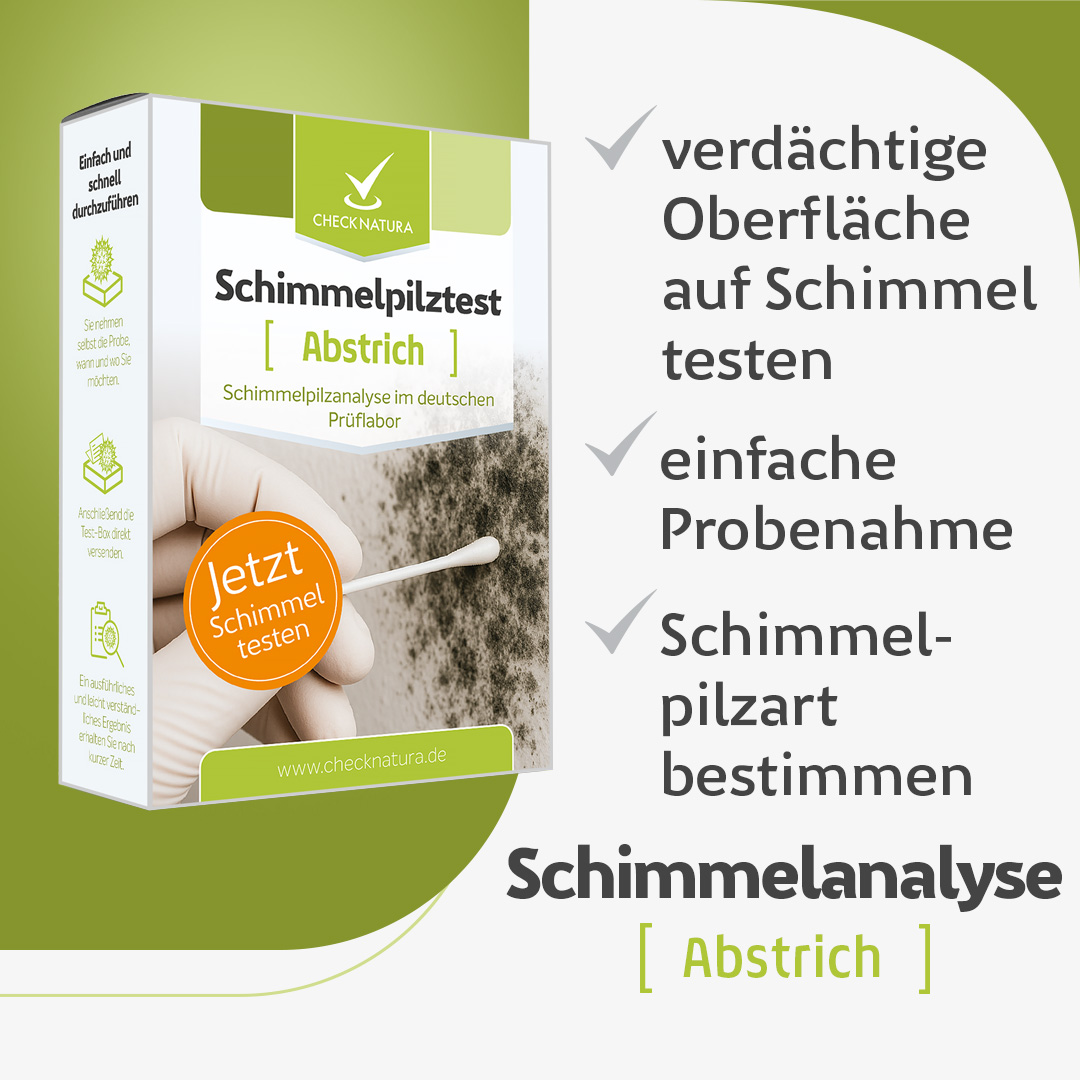Schimmeltest-Kombi-Abstrich