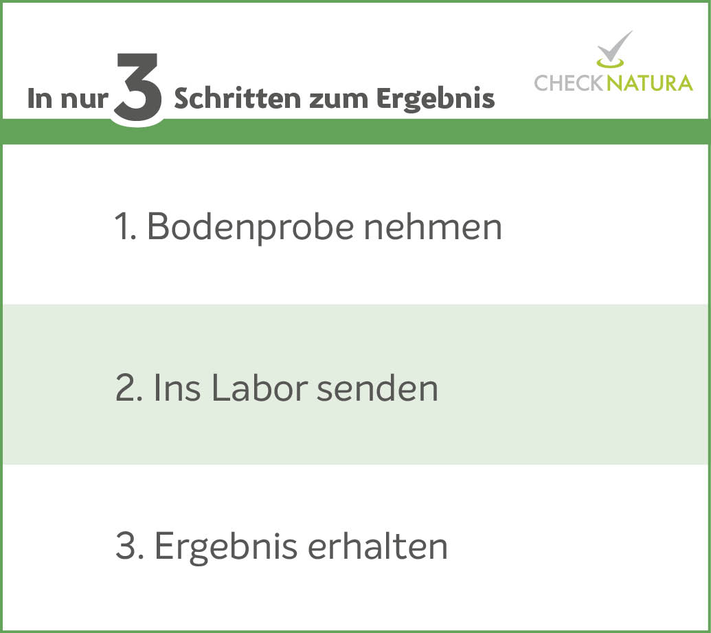 So geht's: Probe nehmen, ins Labor senden und Ergebnis erhalten