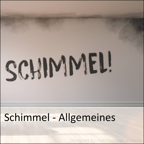 Allgemeines zu Schimmel