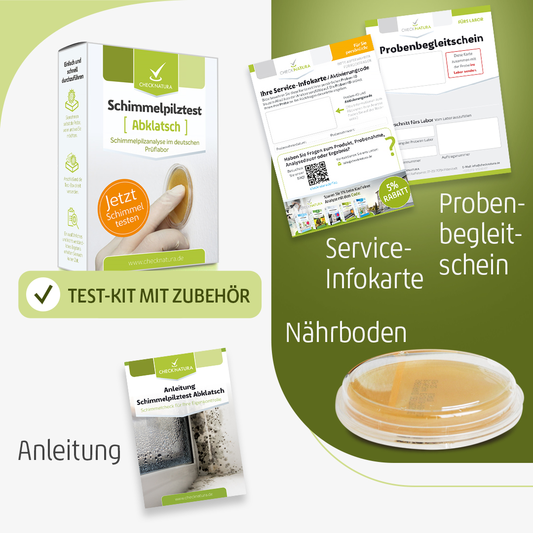 Schimmeltest Abklatsch Inhalt des Test-Kits