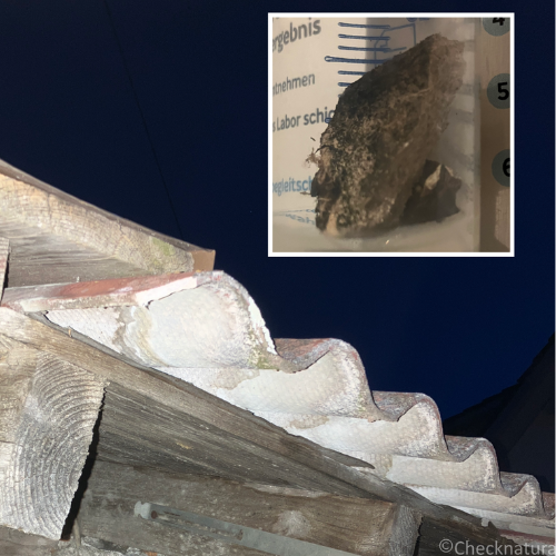 Wellplatten aus Asbestzement auf einem Garagendach