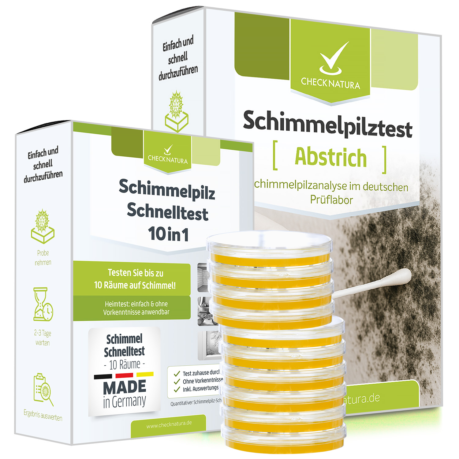 Schimmeltest-Kombi-Abstrich