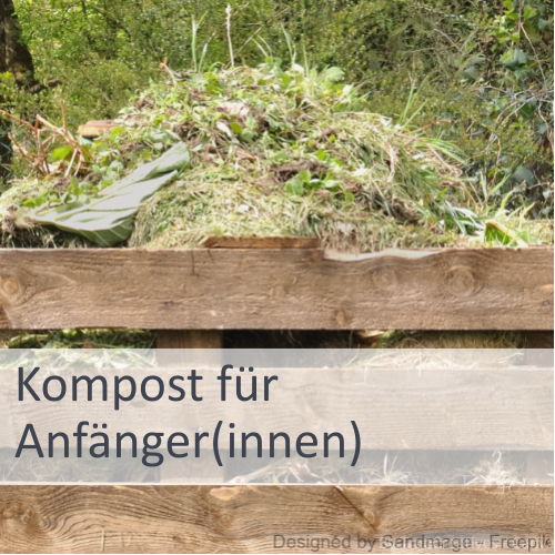 Kompost für Anfänger(innen)