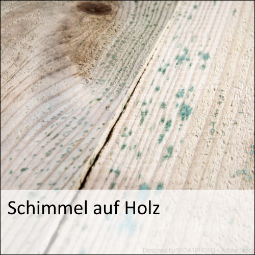 Schimmel auf Holz