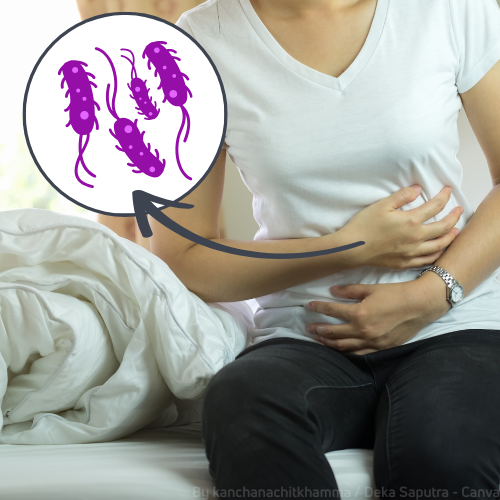 Eine Frau sitzt auf einem Bett und hält sich die Hände vor den Bauch. Daneben eine Grafik mit Escherichia-coli-Bakterien.