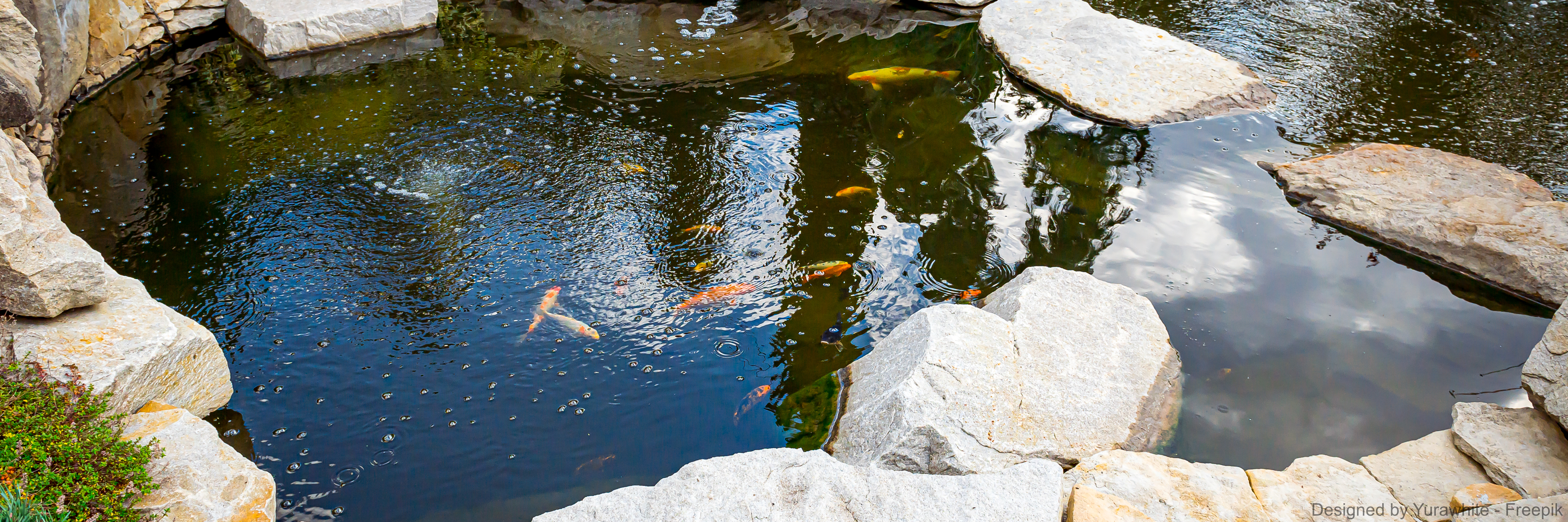 Ein ummauerter Teich mit Fischen
