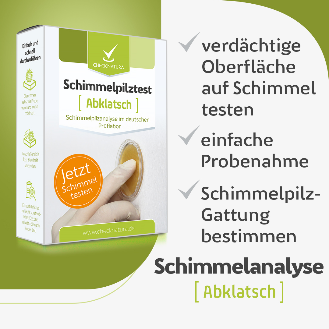 Schimmeltest Abklatsch die Oberfläche auf Schimmel testen