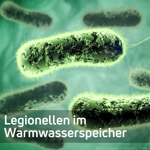 Zum Text Legionellen im Warmwasserspeicher