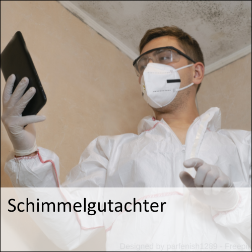 Schimmelgutachter