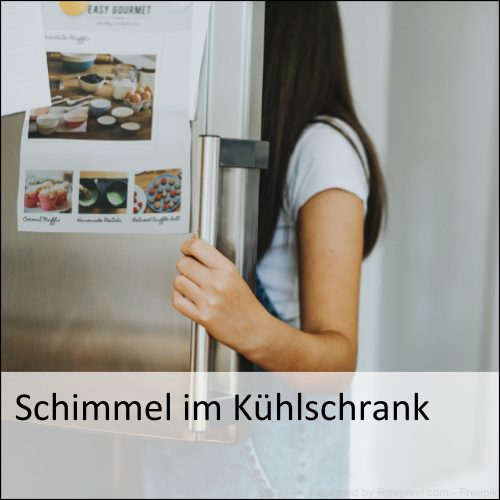 Schimmel im Kühlschrank