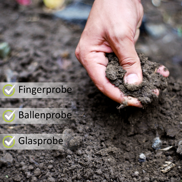 Hand hält eine Probe von sandigem Boden, daneben Text mit den Begriffen 'Fingerprobe', 'Ballenprobe' und 'Glasprobe' jeweils mit grünem Häkchen.