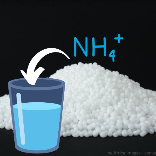 Ein Haufen Ammonium und ein Glas Wasser. Darüber die chemische Formel von Ammonium.
