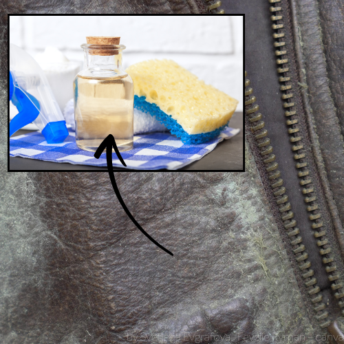 Essig gegen Schimmel ▻ Anwendungsgebiete, Vor- und Nachteile