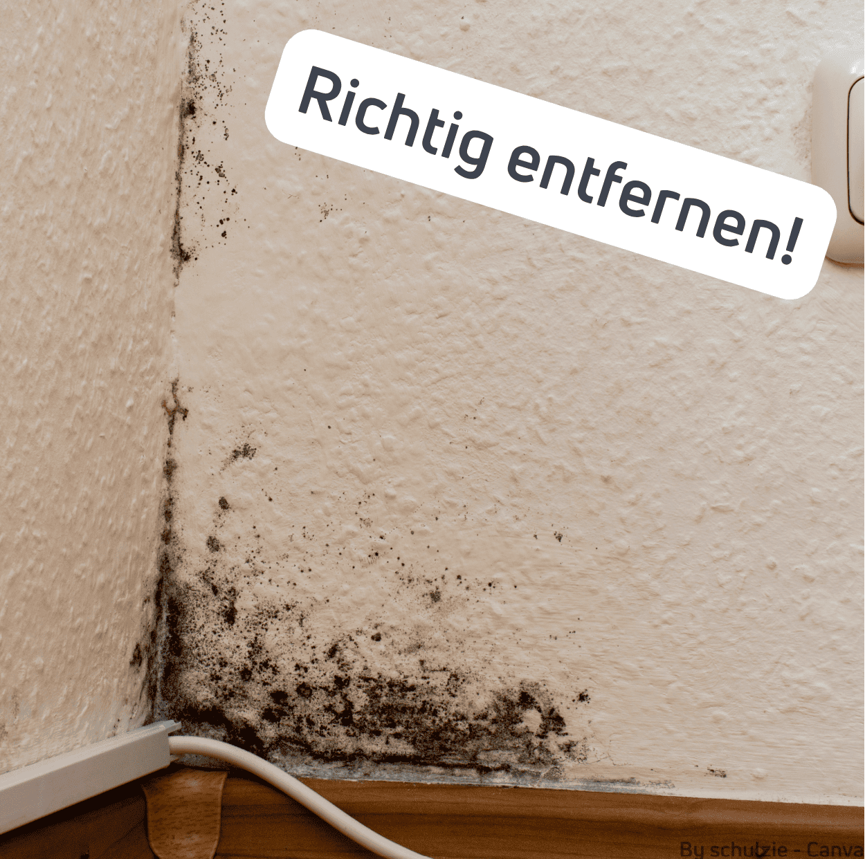 Schimmel auf Tapete richtig entfernen