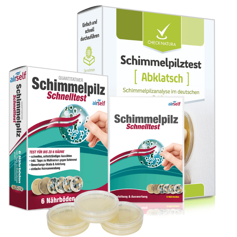 2-in-1 Schimmeltest Abklatsch (Kombi)