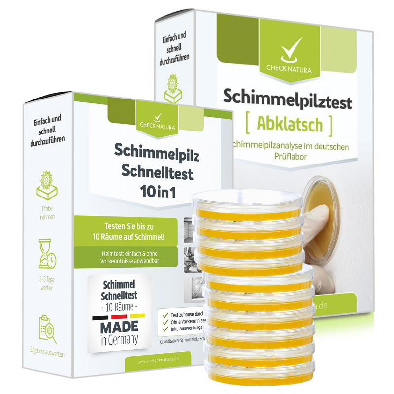 2-in-1 Schimmeltest Abklatsch (Kombi) 2-in-1 Schimmeltest Abklatsch (Kombi)