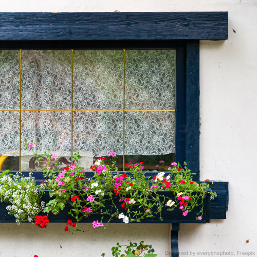 Ein Fenster mit großem Blumenkasten davor