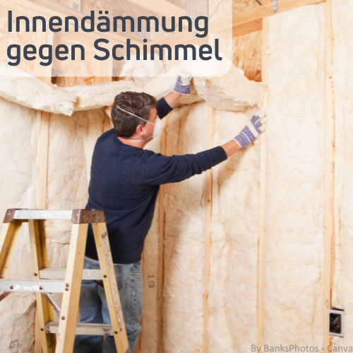 Ein Mann dämmt ein Holzhaus mit Dämmwolle. Darüber steht "Innendämmung gegen Schimmel".