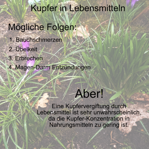 Eine Kupfervergiftung über Lebensmittel ist äußerst unwahrscheinlich, da die Konzentration in der Nahrung zu gering ist.