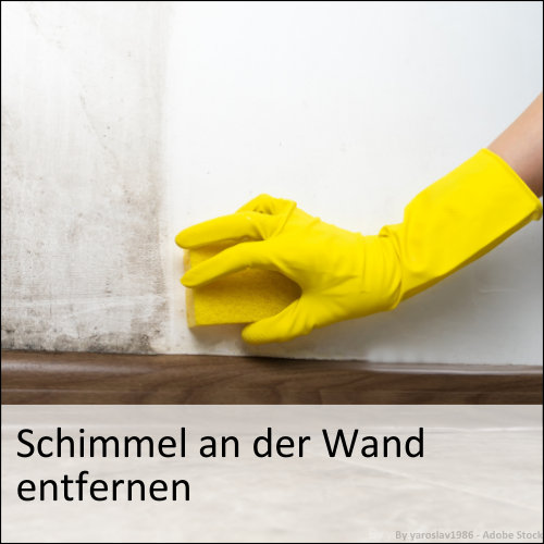 Schimmel an der Wand enternen