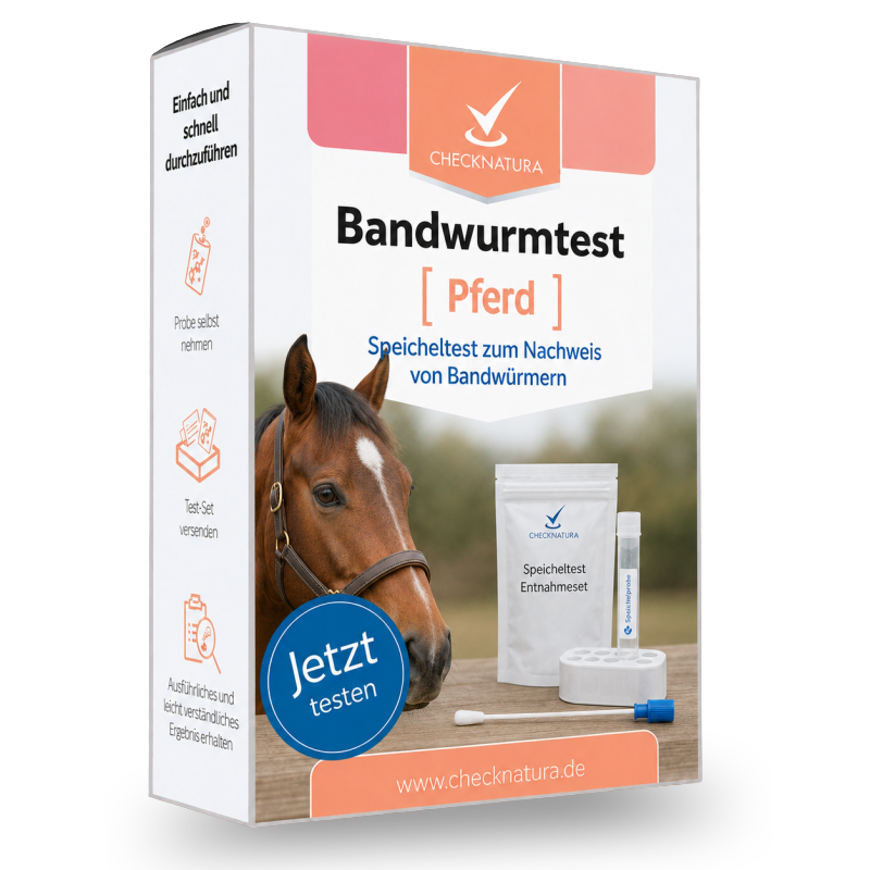 Bandwurmtest Pferd