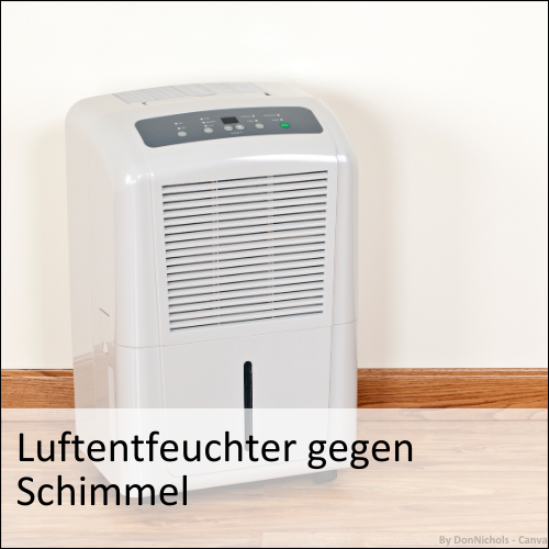 Luftentfeuchter gegen Schimmel