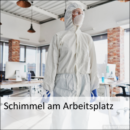 Schimmel am Arbeitsplatz