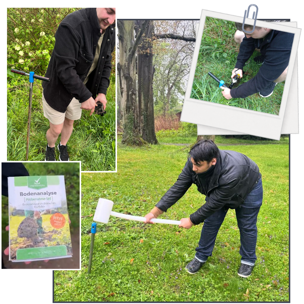 Man sieht eine Collage verschiedener Fotos auf denen eine Grupope Jugendlicher eine Bodenprobe im Stadtwald nimmt.