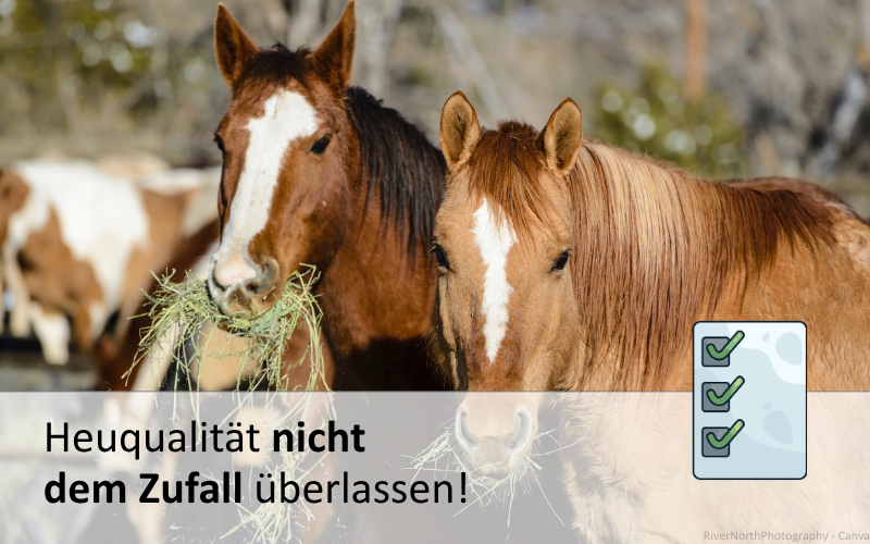 Überlassen Sie Ihre Heuqualität nicht dem Zufall!