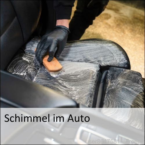 Schimmel im Auto