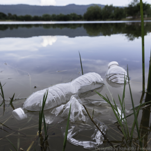 Plastikflaschen schwimmen am Ufer eines Flusses